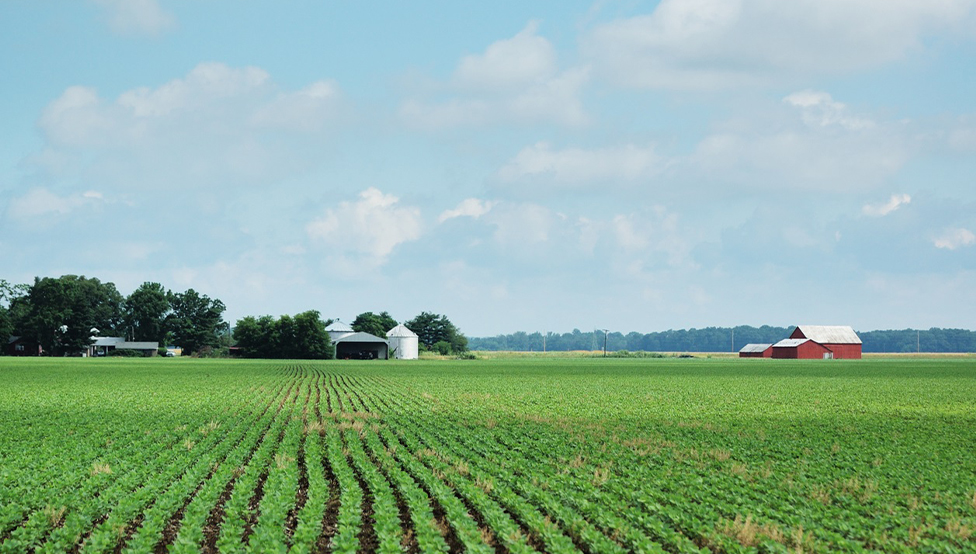 click to learn about our agriculture services